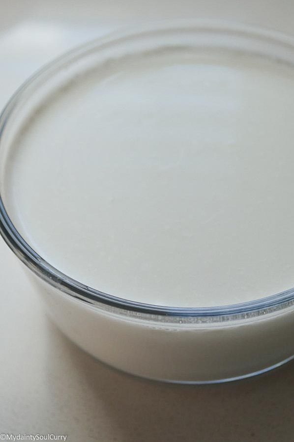 Vegan mishti doi or sweetened vegan yogurt