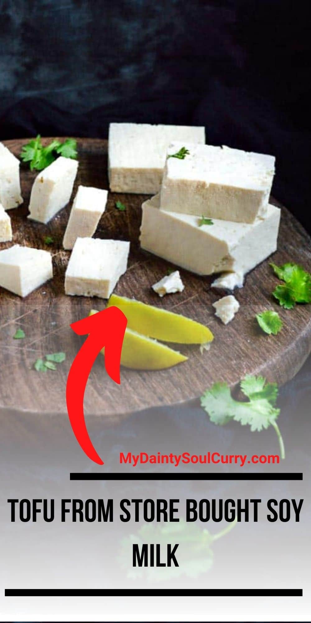 Homemade Tofu From Store Bought Soy milk Recipe