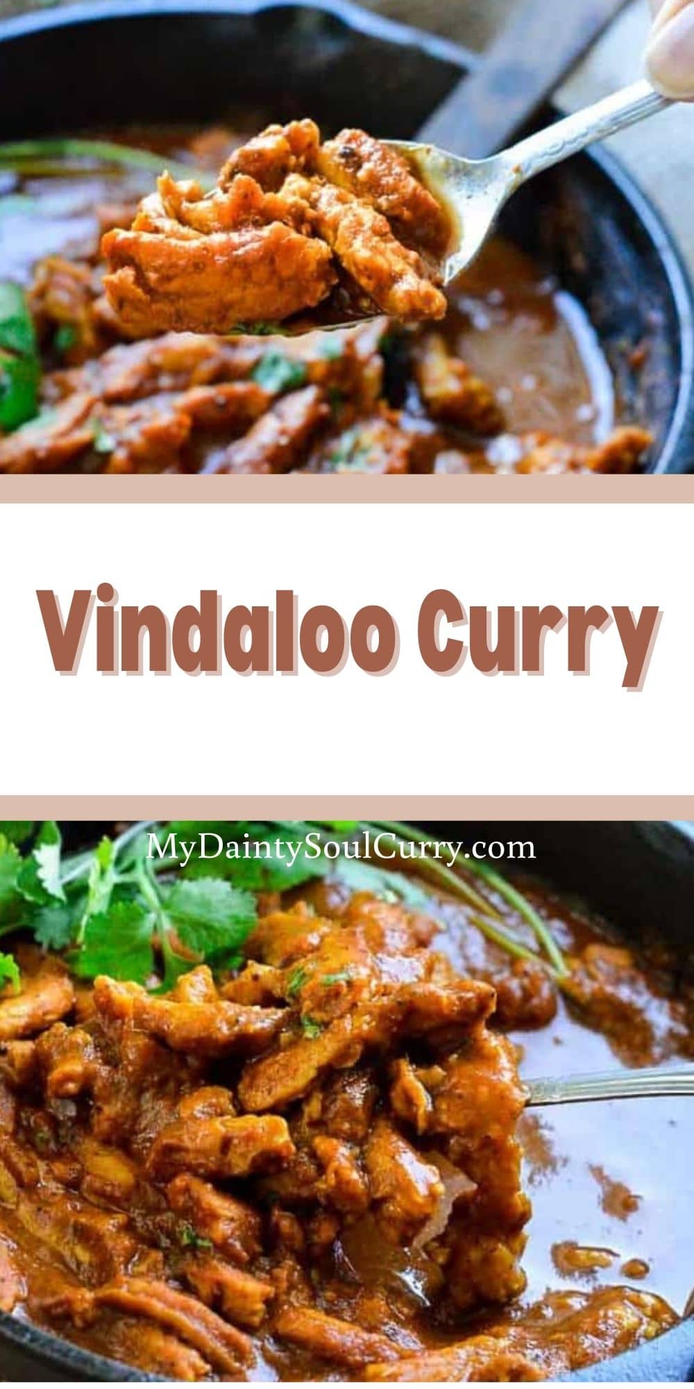 vindaloo-curry-my-dainty-soul-curry