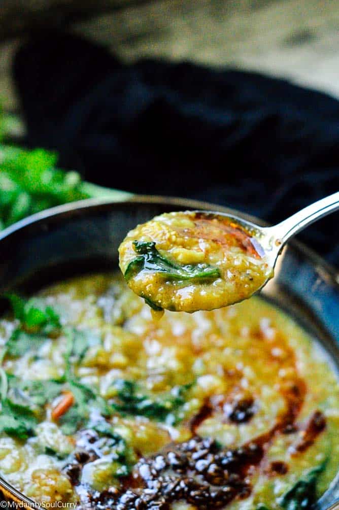 red lentil coconut curry image