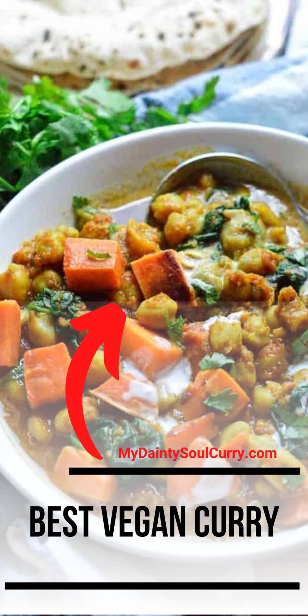 Best Vegan Curry My Dainty Soul Curry
