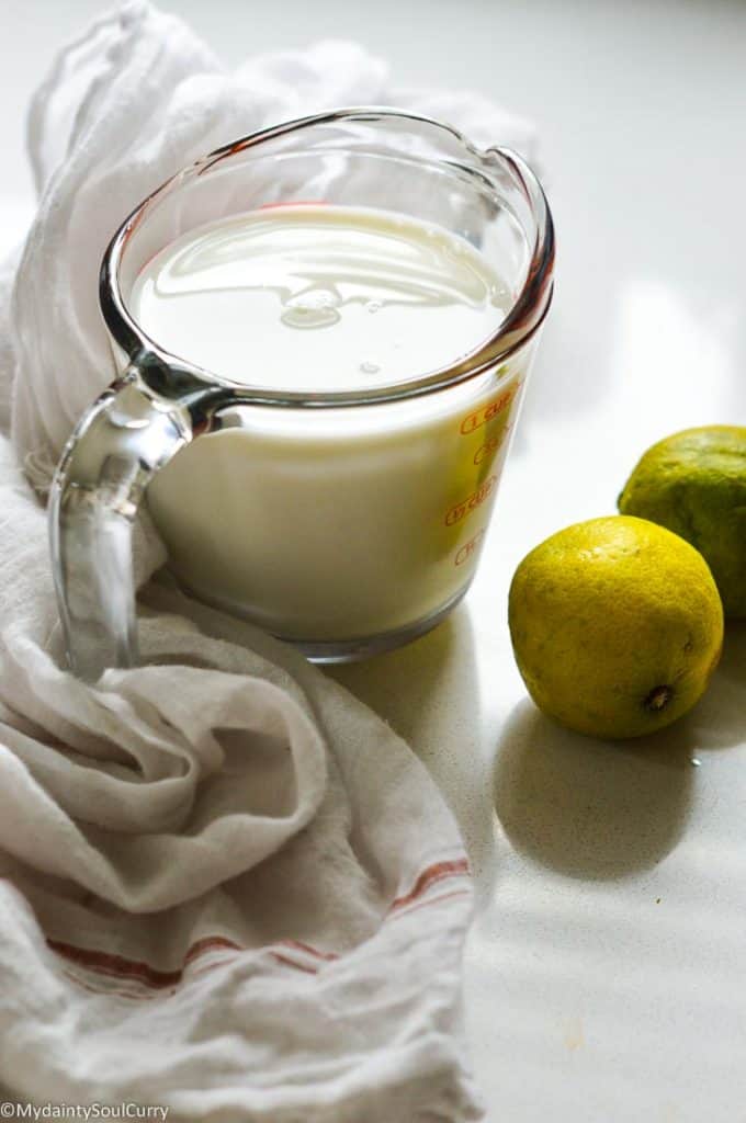 Ingredients for the instant pot paneer