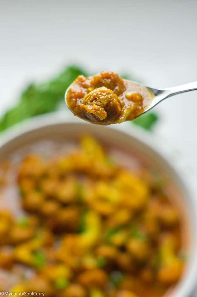 A spoon of Nutrella curry