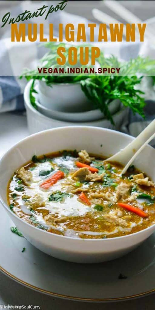 Instant pot mulligatawny soup