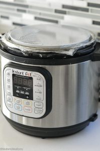 Instant pot idli batter fermentation