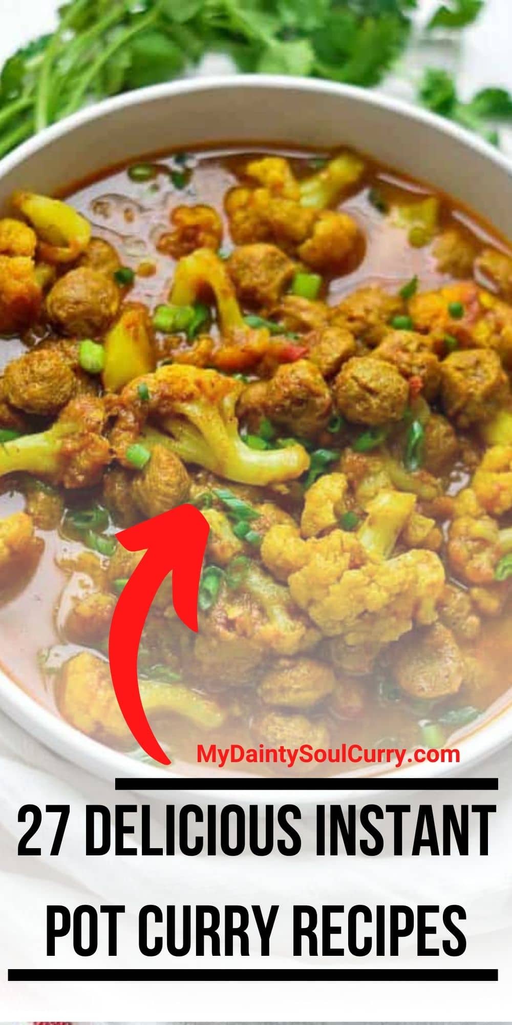 27 Delicious Instant Pot Curry Recipes My Dainty Soul Curry