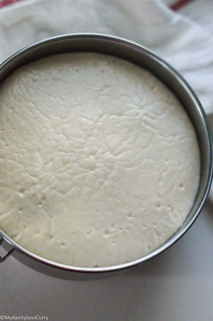 Fermented idli batter