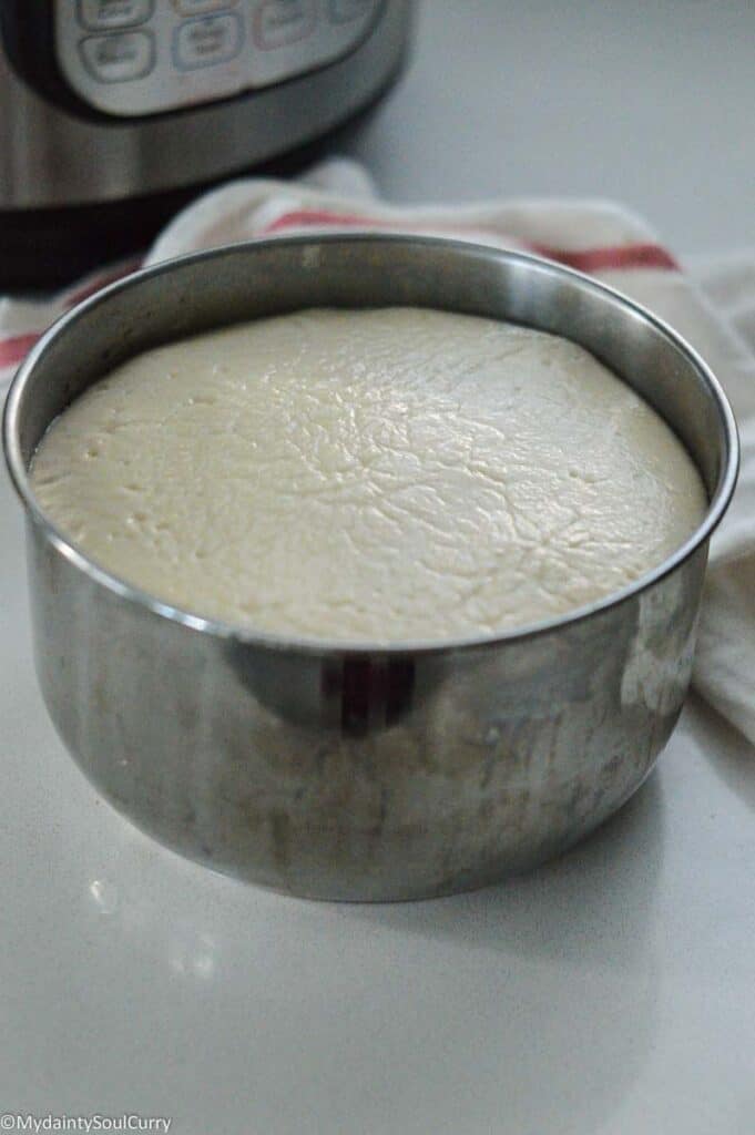 fermented instant pot idli batter