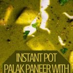 Instant Pot Palak Paneer with Air Fried Paneer PIN (2)