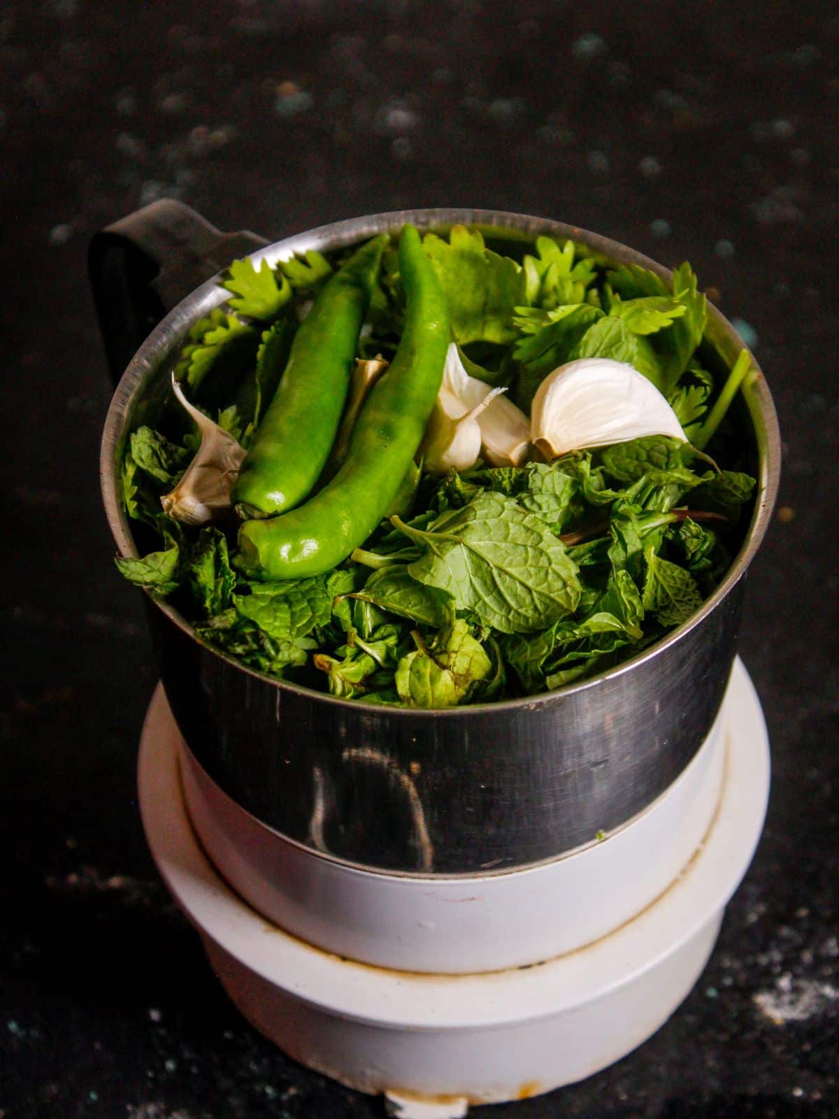 Take all the ingredients for the chutney into the blender