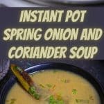 Instant Pot Spring Onion and Coriander Soup PIN (2)