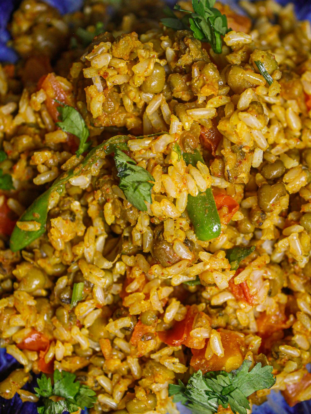 Top zoom in view of Brown Rice Green Moong Pulao