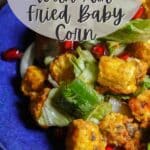Crispy Baby Corn Salad with Air Fried Baby Corn PIN (2)