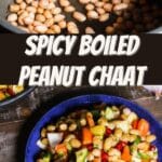 Spicy Boiled Peanut Chaat PIN (3)