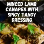 Minced Lamb Canapes with Spicy Tangy Dressing PIN (2)