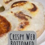 Crispy Web Bottomed Dumplings with Side Sauce PIN (2)