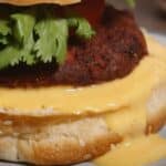 Leftover Juice Pulp Burger Patties PIN (2)