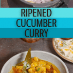 Ripened Cucumber Curry PIN (3)