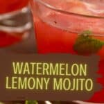 Watermelon Lemony Mojito PIN (3)
