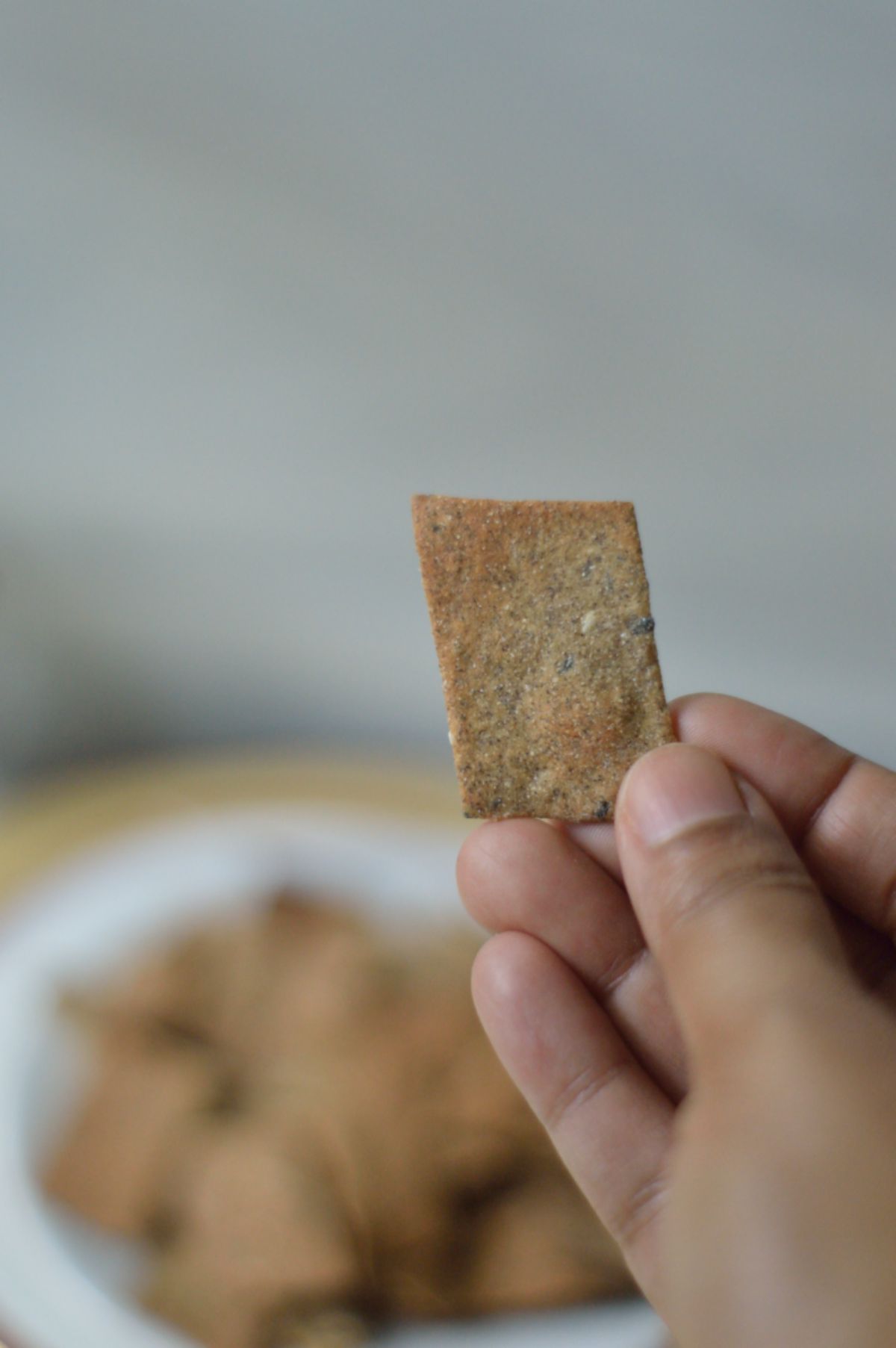 A hand holding an Air Fryer Cracker.