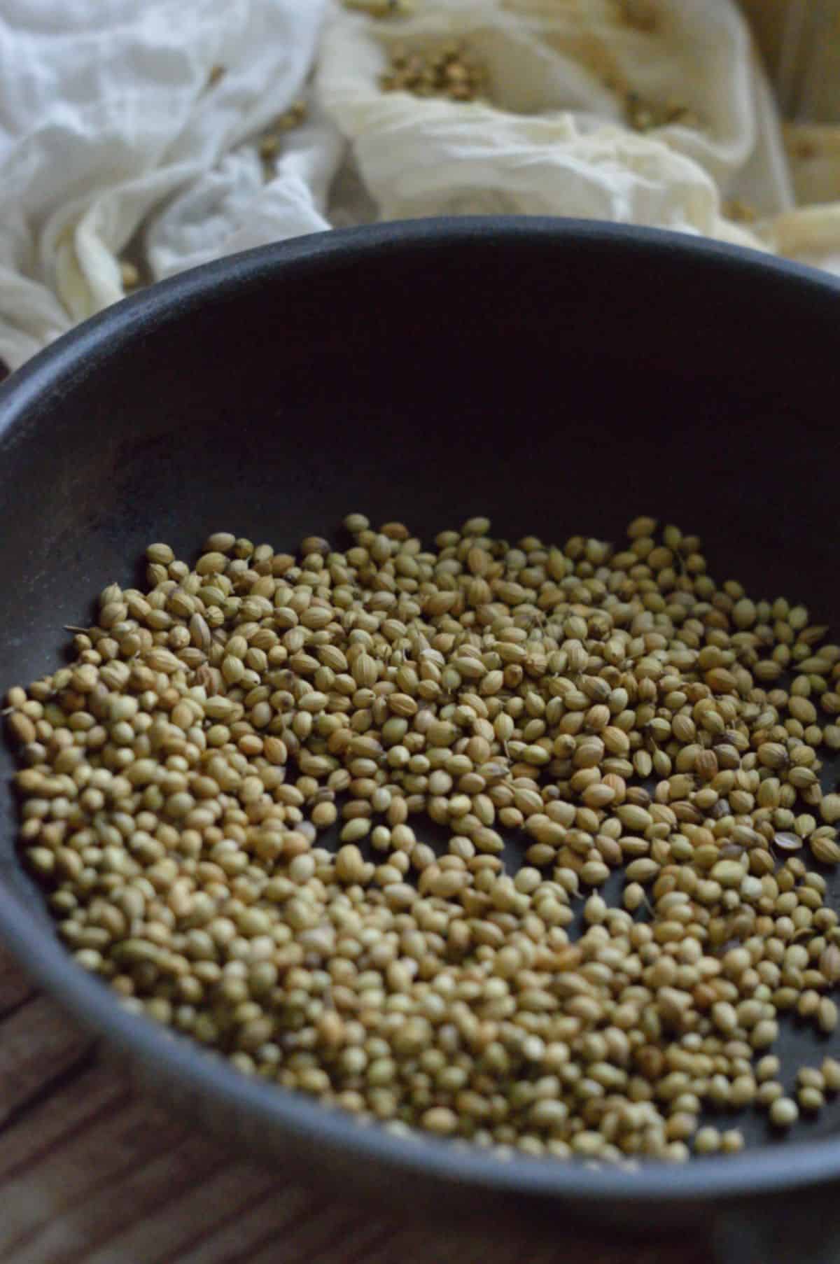 Dried coriander seeds in a black bowl.