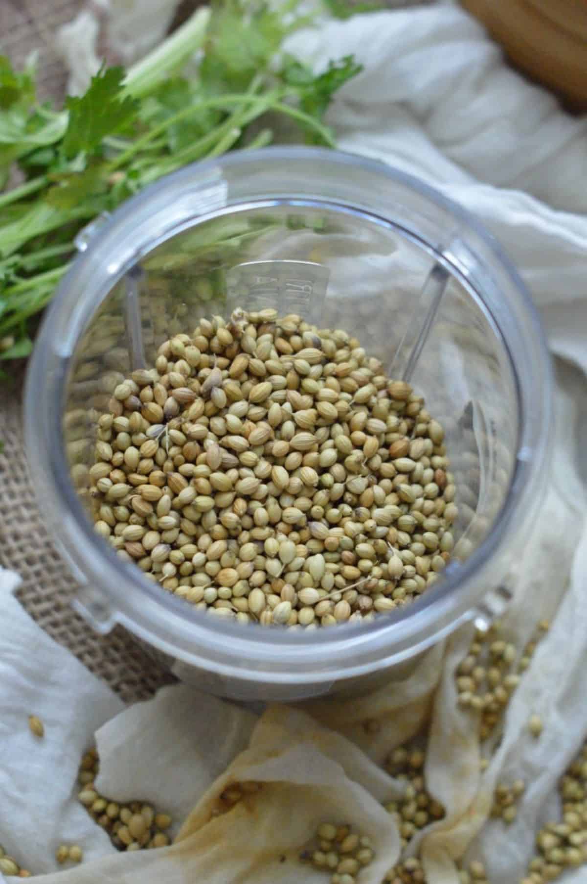 Dried coriander seeds in a blender.