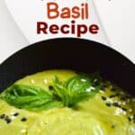 Curry Pesto with Thai Basil Recipe pinterest image.