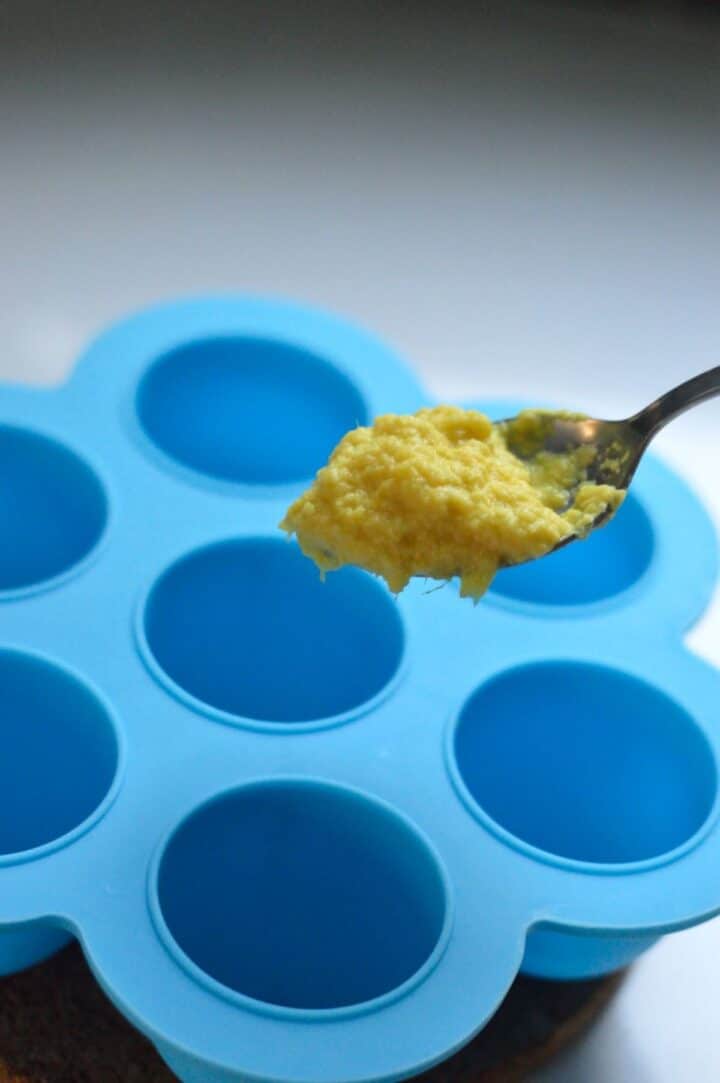 Ginger Garlic Paste Recipe + How to Freeze My Dainty Soul Curry