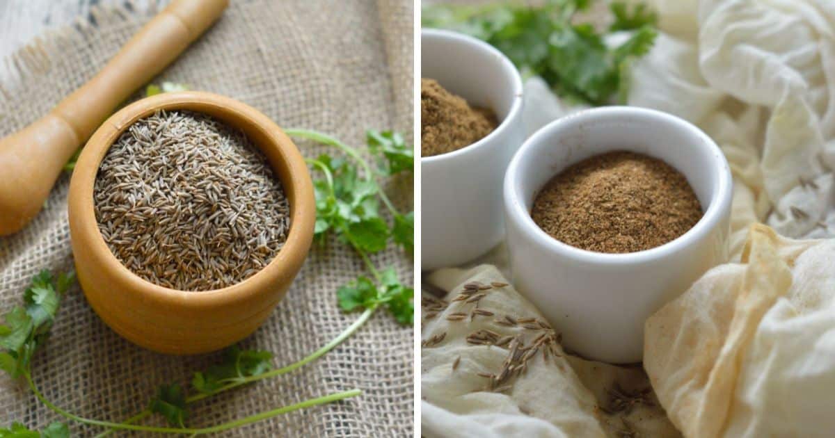 How To Make Cumin Powder My Dainty Soul Curry