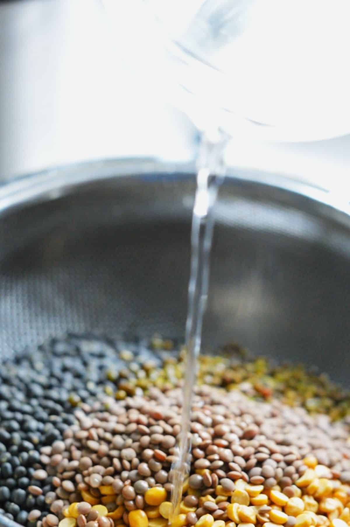 Lentils rinsing.