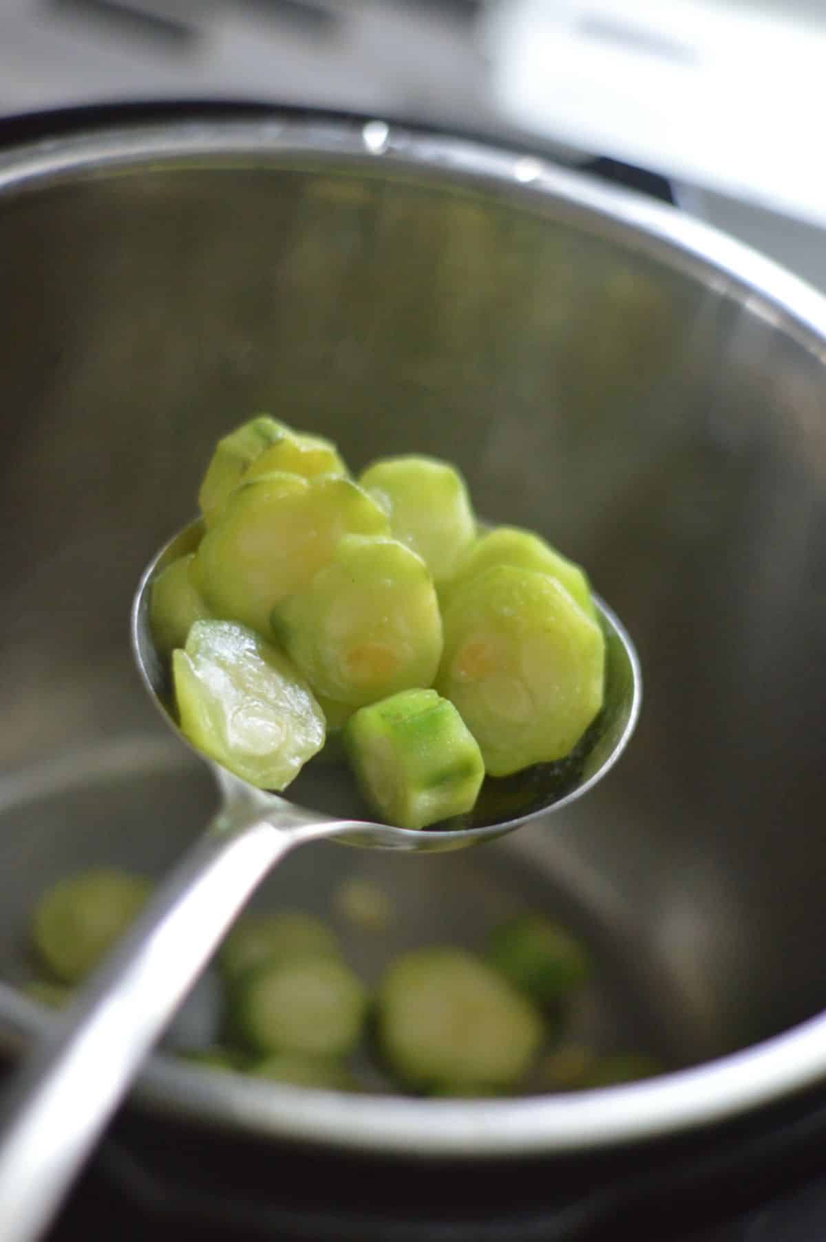 Sliced ridge gourd on a spoon.