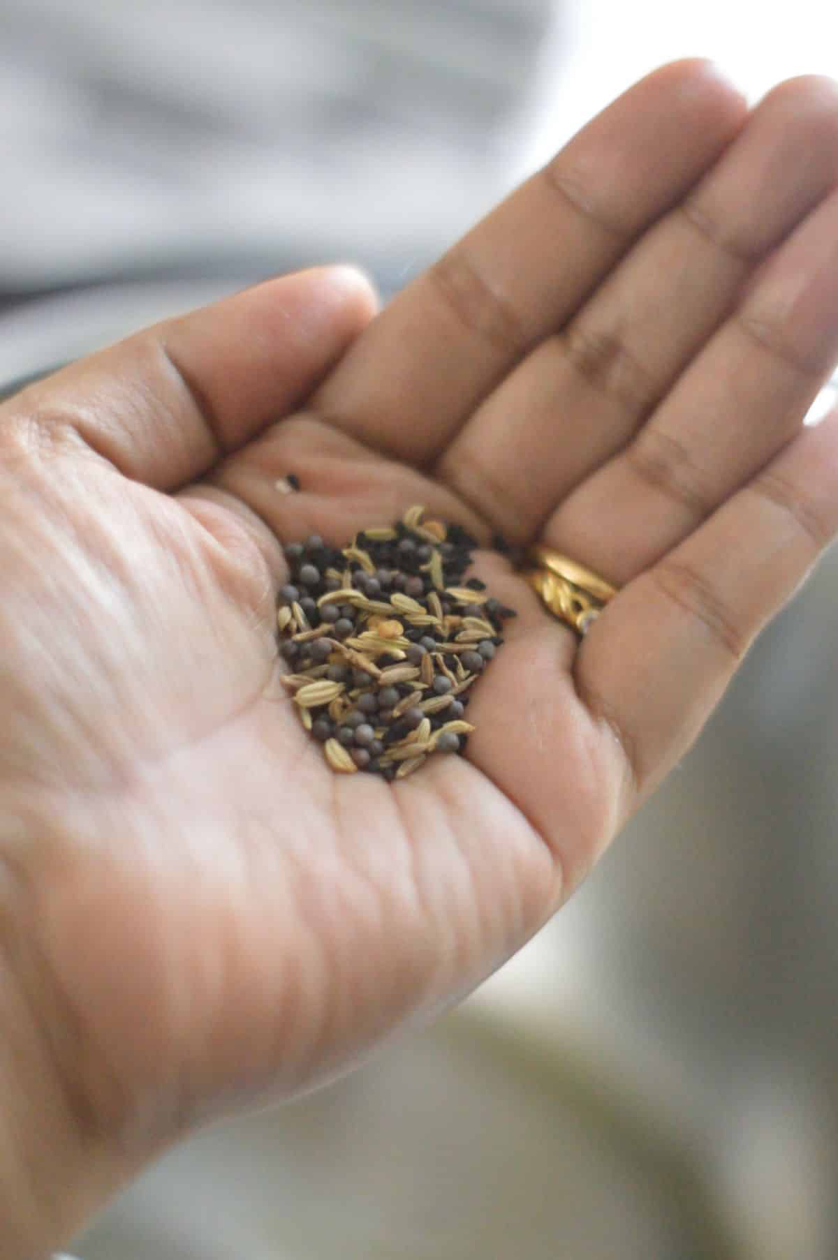 Different types of seeds on a palm.