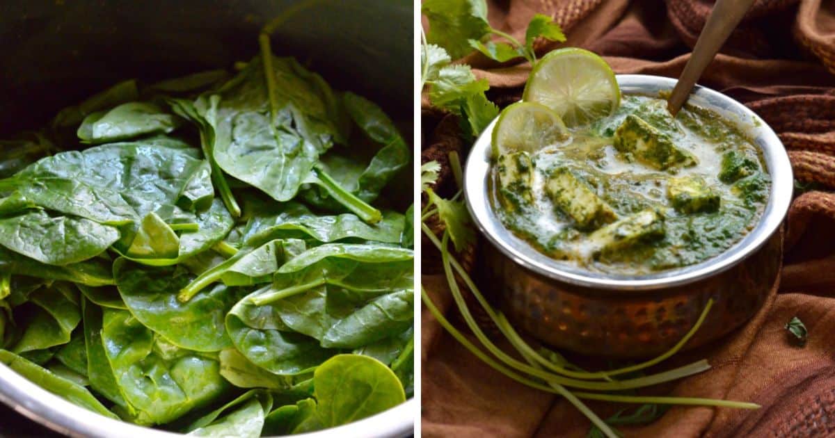 Saag Paneer Recipe - My Dainty Soul Curry