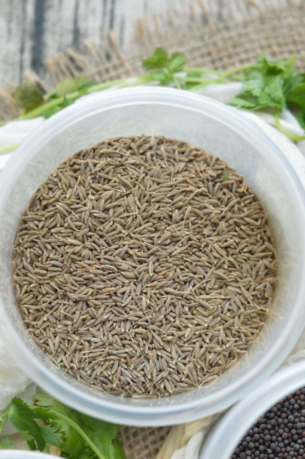 Cumin seeds in a plastic container.