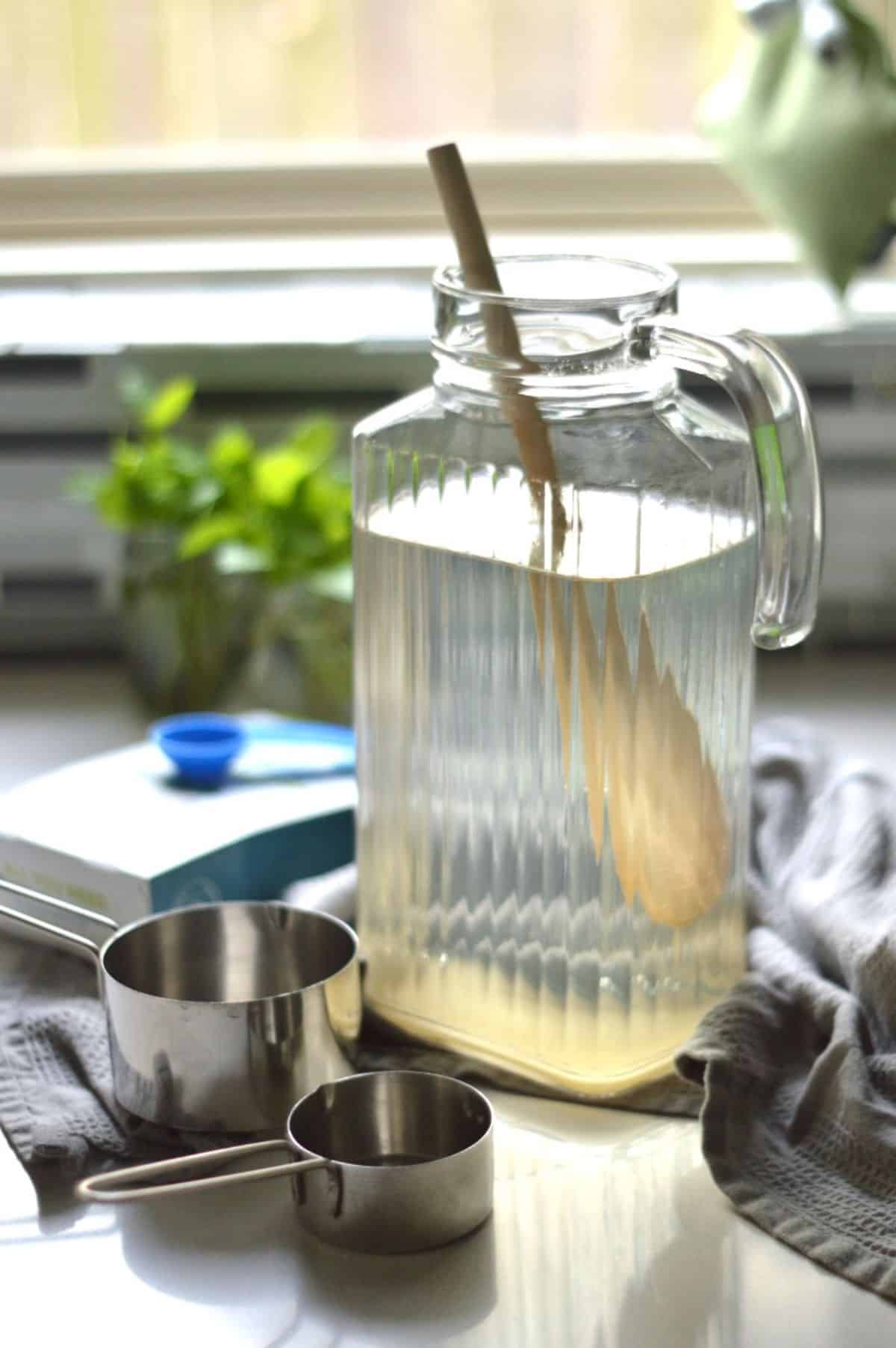 Homemade Water Kefir ingredients.