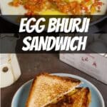 Egg Bhurji Sandwich PIN (2)