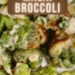 Air Fried Malai Broccoli PIN (1)