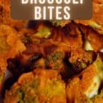 Air Fried Buffalo Broccoli Bites PIN (1)