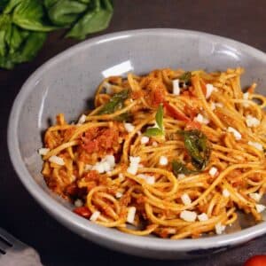 Featured Img of Spaghetti in Tomato Basil Sauce