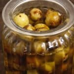 Pickled Gooseberries PIN (3)