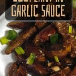 Stir Fried Eggplant in Garlic Sauce PIN (1)