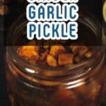 Instant Ginger Garlic Pickle PIN (1)